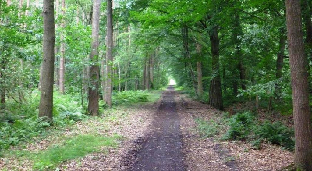 B&B Woodside Torhout Luaran gambar